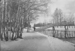 Prot: Horten Kanalen 1/3 1906