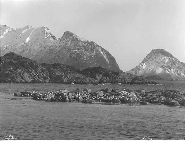 Prot: Balstad - Maaker paa Holmen 19/3 1910