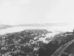 Prot: Bergen - Panorama fra Fløifjell 13. Juli 1902