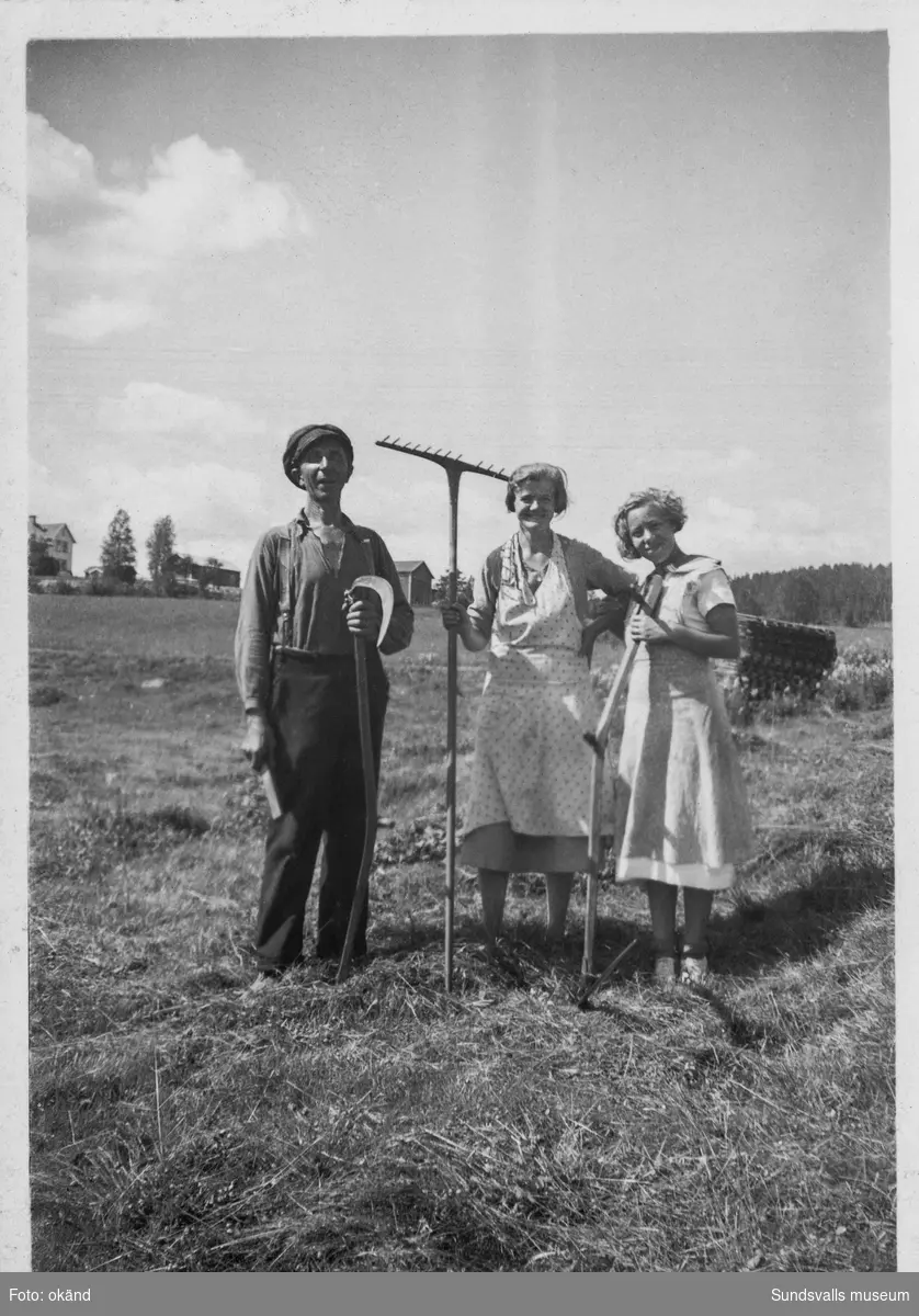 Slåtter. En man och två kvinnor med lie och räfsa. På baksidan står: Gottfrid Häggkvist? Ur en samling som tillhört Lotta Nordlund, Strömås.