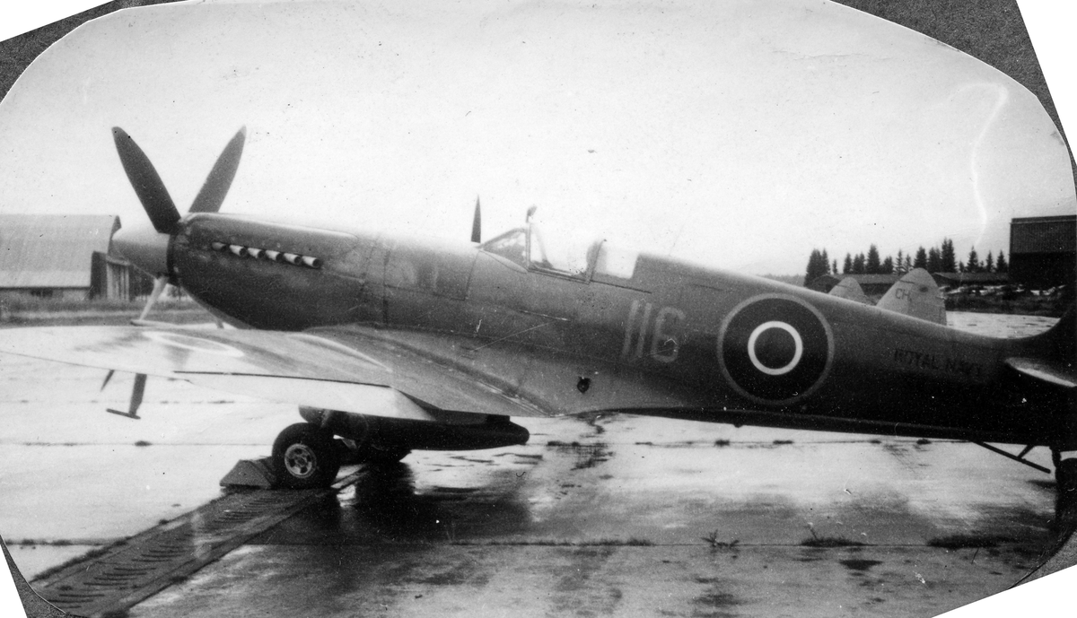 Britisk jagerfly av typen Supermarine Seafire, brukt ombord i hangarskip. Her under et besøk på Gardermoen flystasjon.