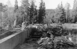 Bygging av ny dam, Skasdammen på Brandval Finnskog, ved Skas