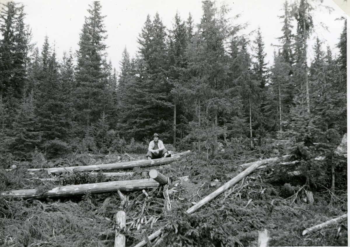 Skogsdrift på Garnås i skogen tilhørende Garnåshaugen.
Mannen på bilde er Trægde, eier av Garnåshaugen.
