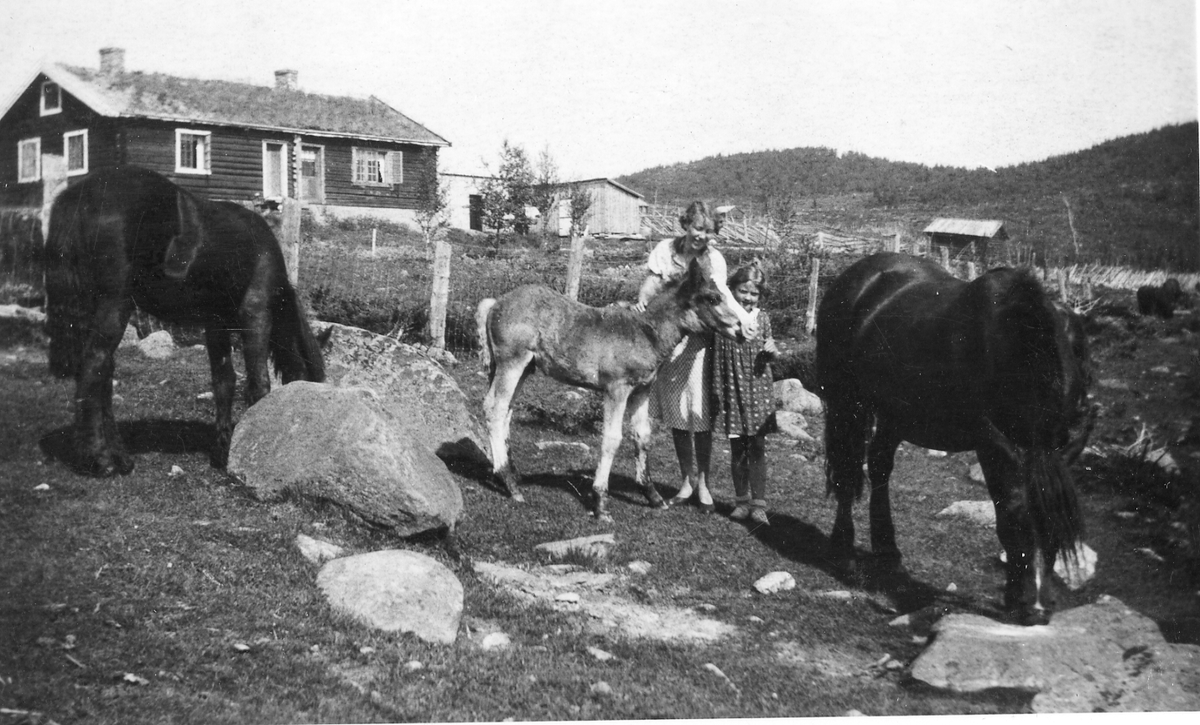 Seterdrift
Birgit Jorde og hestene, Ågot Andersen fra Bergen.
