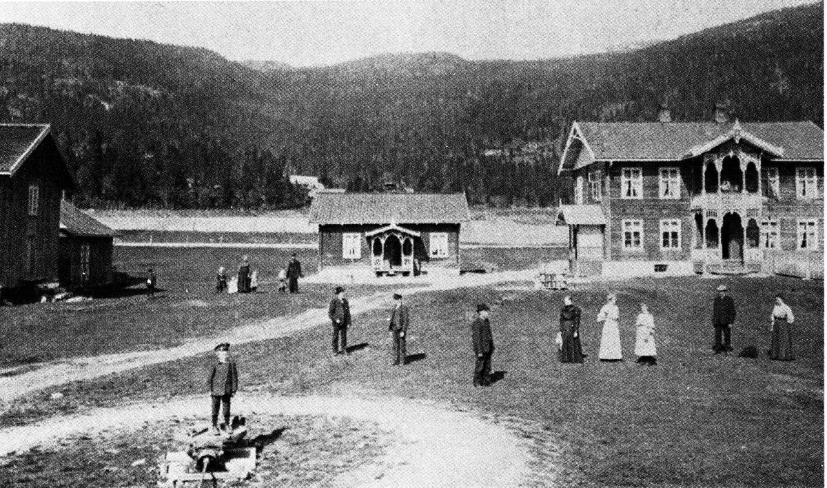 Barn, voksne menn og kvinner foran hovedbygningen på Øvre Ve
Øvre Ve (Benterud-Ve, gnr 9 bnr 5) i Flå.
Bildet er mellom byggeåret på bygningen, 1901, og da det ble kledd i 1910-1920, se Gamle hus og tun i Flå side 163.
