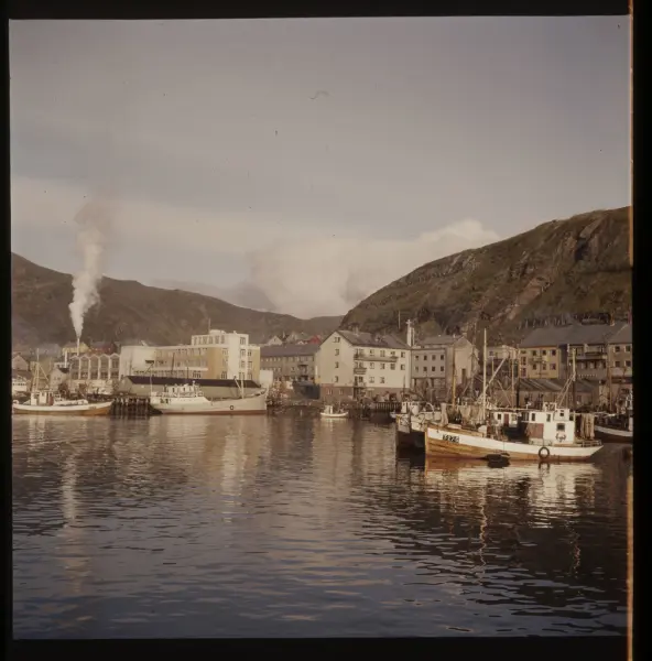 Hammerfest Havn I Solskinn - Museene For Kystkultur Og Gjenreisning I ...