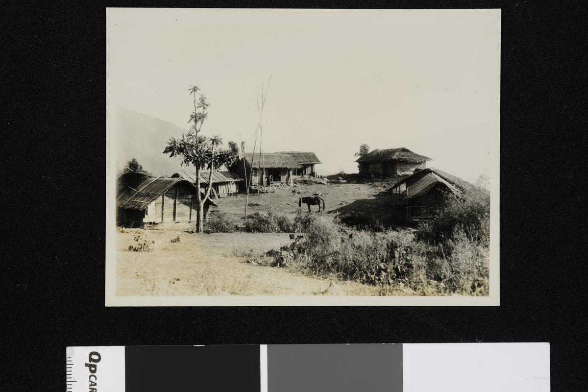 Landskap i Yangang. Fotografi tatt i forbindelse med Elisabeth Meyers reise til India 1932-33.