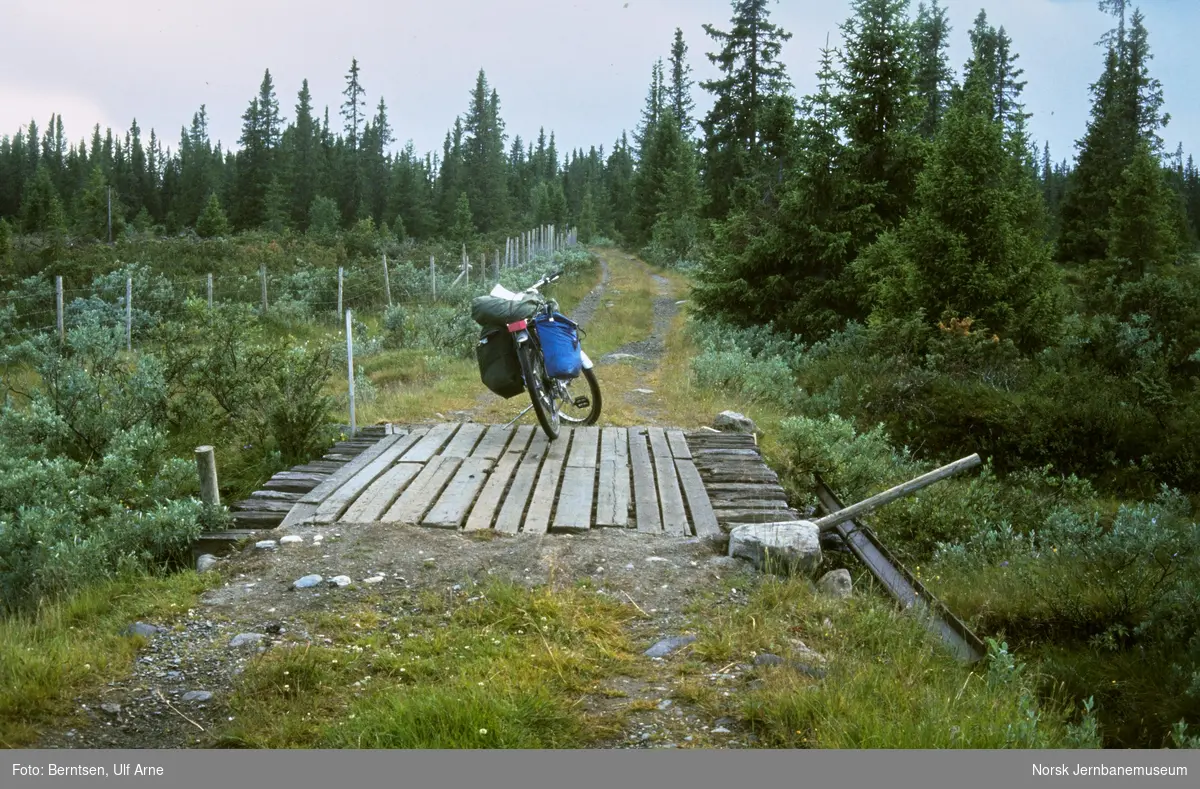 På sykkel på skogsbilveg mellom Ellingseter og Hellebekk i Sør-Aurdal kommune