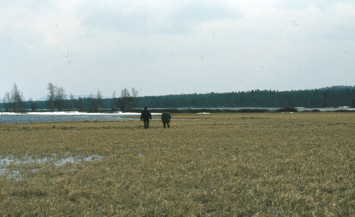 To menn går i våtmark
