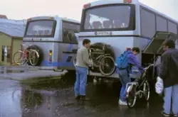 Volvo rutebiler tilhørende Lofoten Trafikklag med kjennemerk