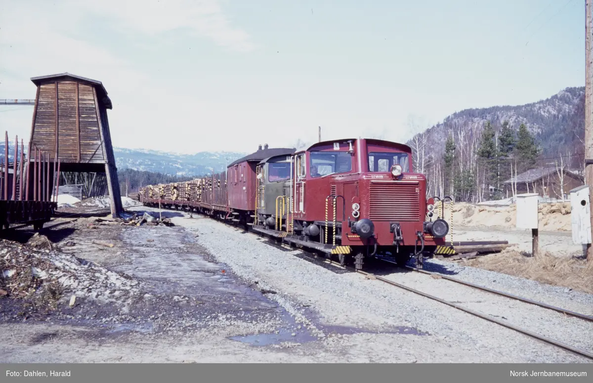 Skiftetraktor Skd 220 170 og Skd 220 136 med tømmertog på Flesberg stasjon