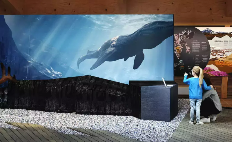 Illustration showing a screen with swimming, prehistoric animals.