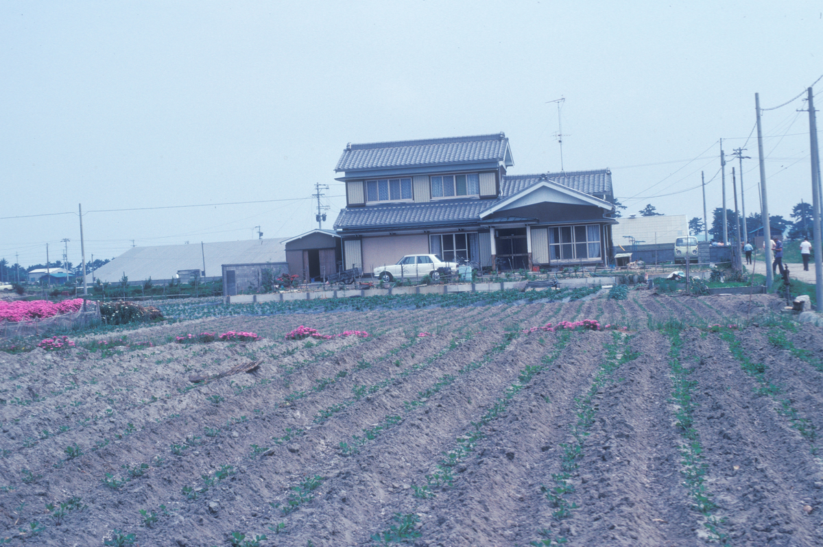 Motiv fra Japantur : bygning med jorder i front