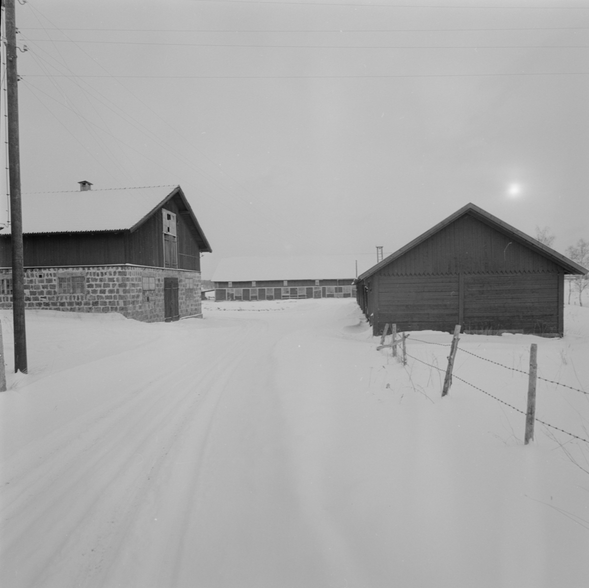 Gårdsmiljö, Alunda, Uppland februari 1958