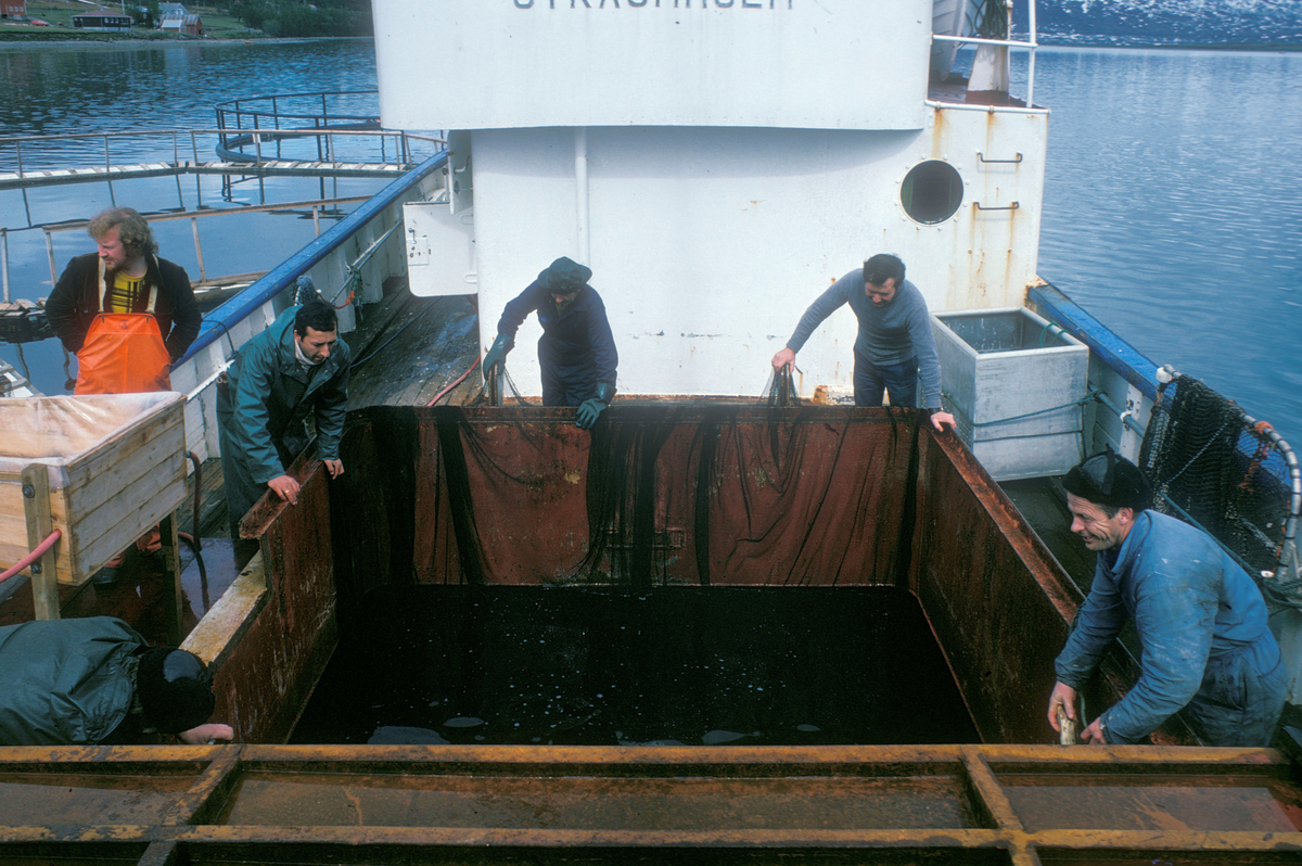 6 menn på dekk ombord i Straumholm, ser ut som de senker en nett ned i brønnrommet.