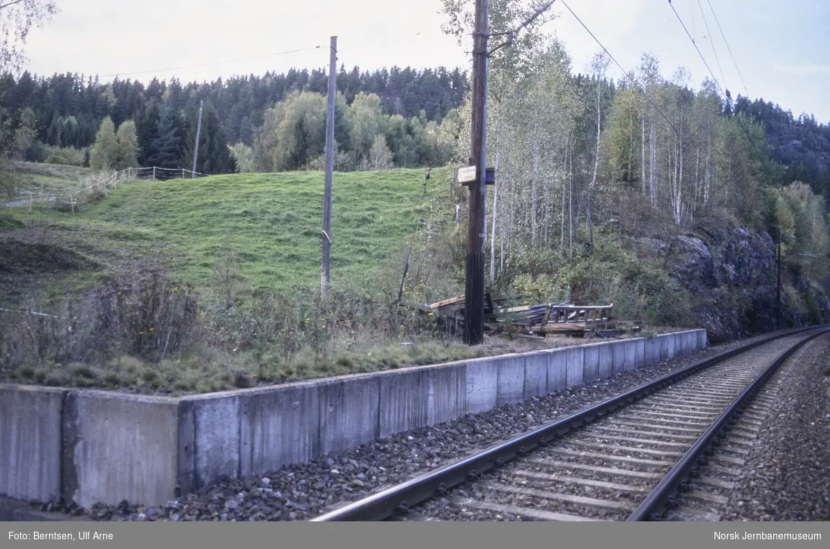 Hassel nedlagte holdeplass mellom Skotselv og Åmot stasjoner på Randsfjordbanen