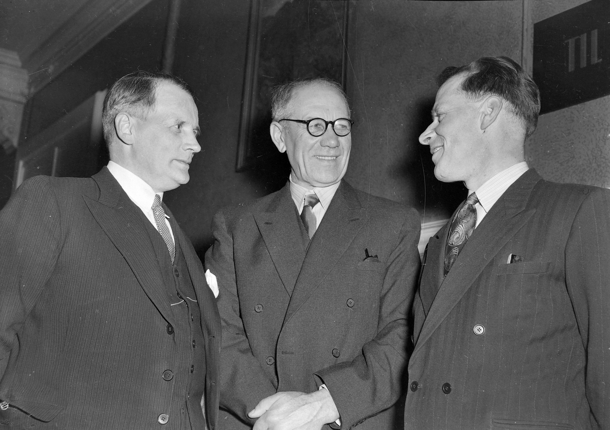 Deltakere på Fylkestinget våren 1954