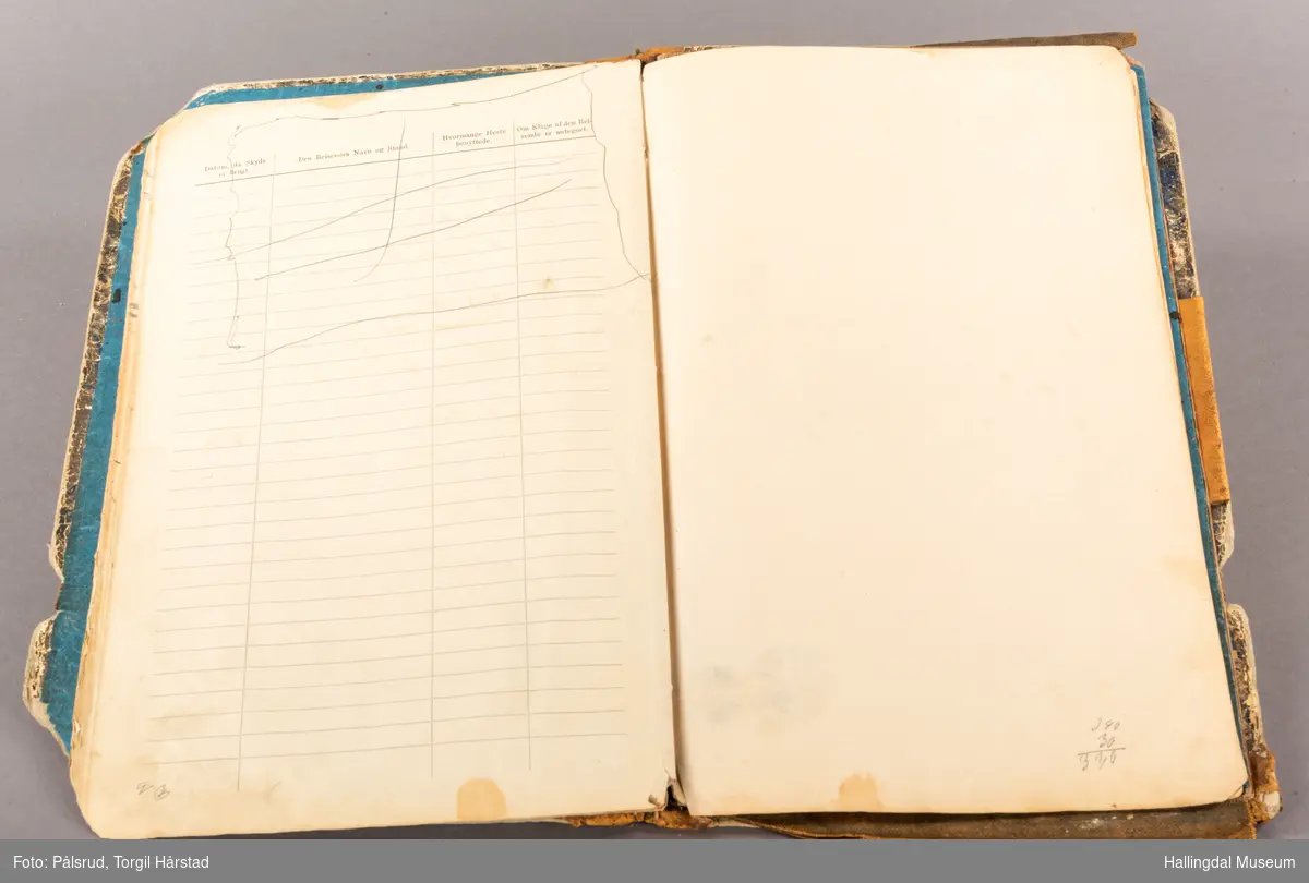 En skyssdagbok fra Nes. Brukt mellom 1882 - 1886 og 1928 og 1929.