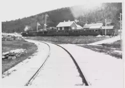 Damplokomotiv 21a 203 med Sperillbanens åpningstog på Speril