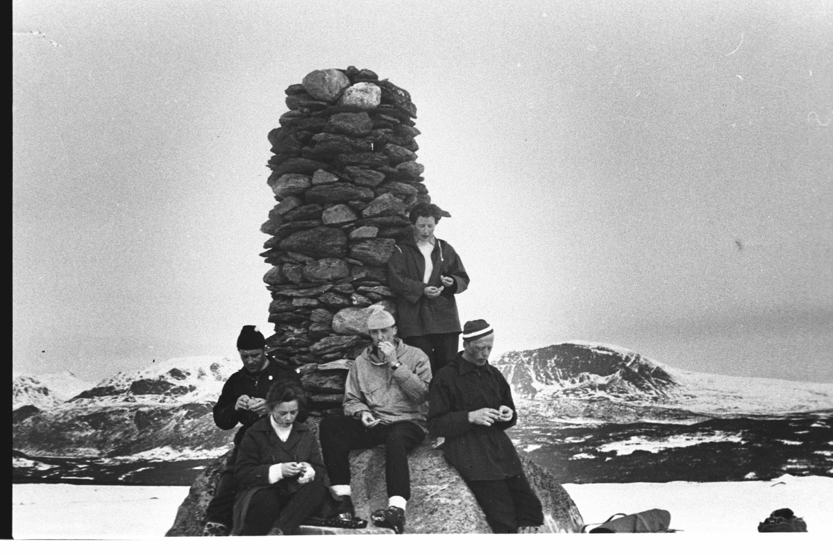 Gruppe
Hellingreset med utsikt mot Skogshorn.