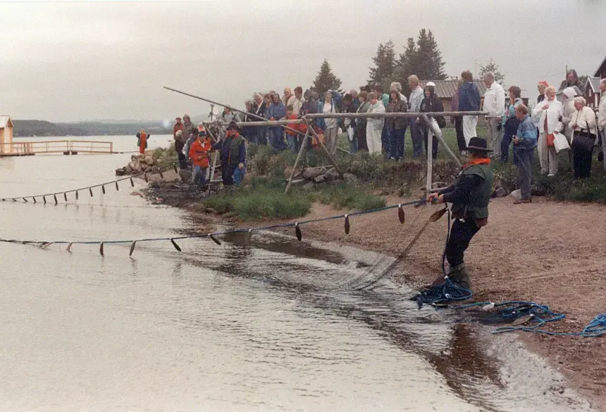 Riksstämmor. Gällivare 1990. Notdragning på Jukkasjärvi hembygdsgård.