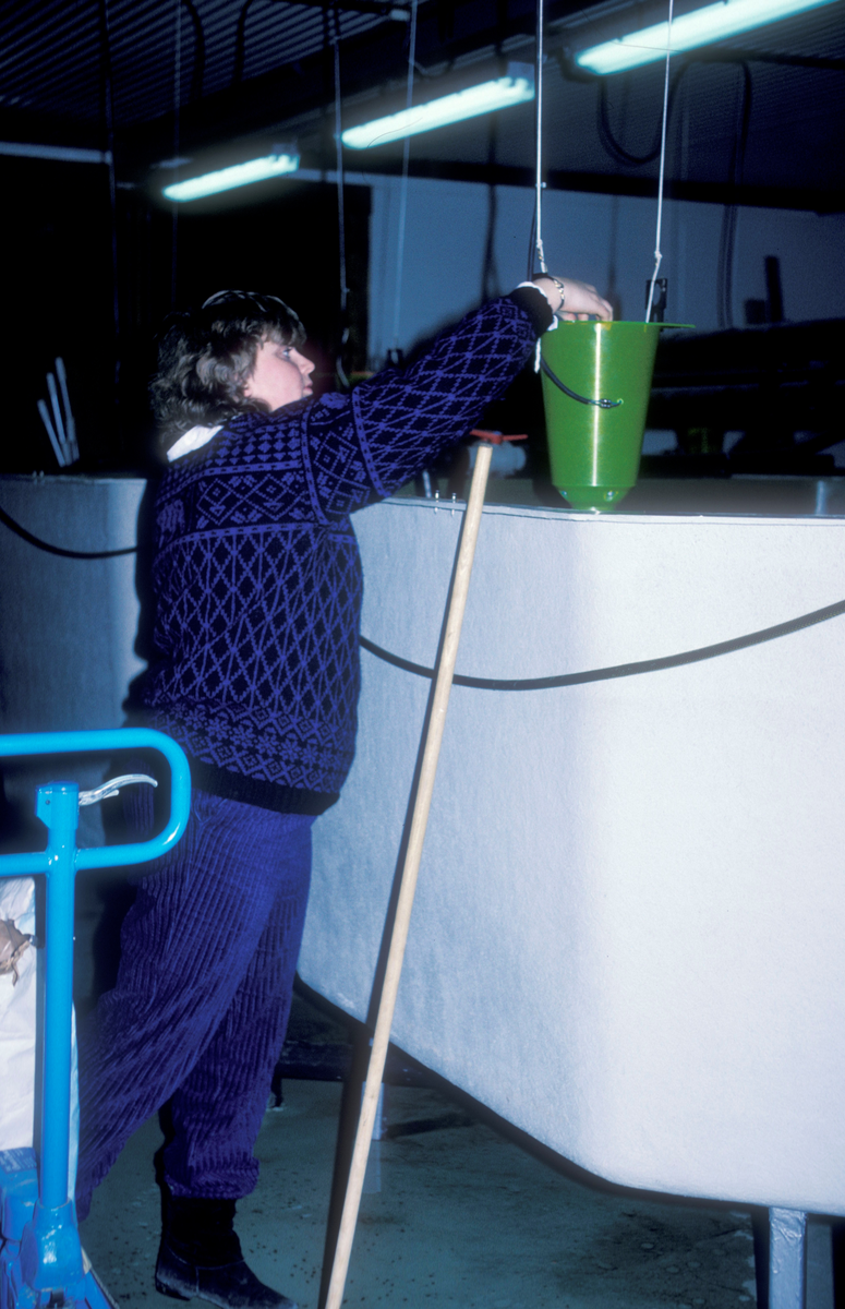 Tex-Fisk A/S, Bjugn 1986 : Kvinne fyller på fôrautomaten ved et smoltkar