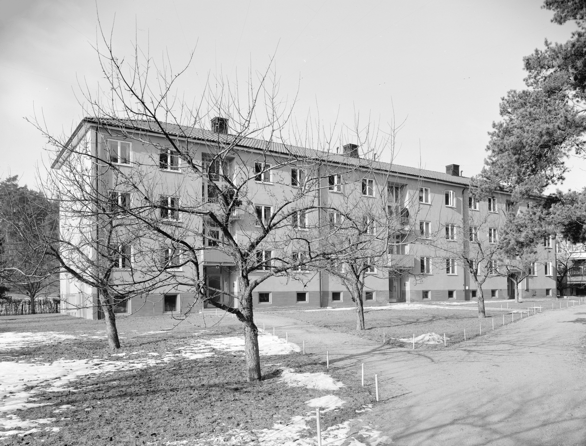 Bild ur Linköpingsfotografen Karl Johan Stenhardts samling, beställd av byggmästaren Erik Andersson 1945. Där slutar dessvärre säker fakta. Vi har inte lyckats lokalisera huset och hoppas på hjälp.