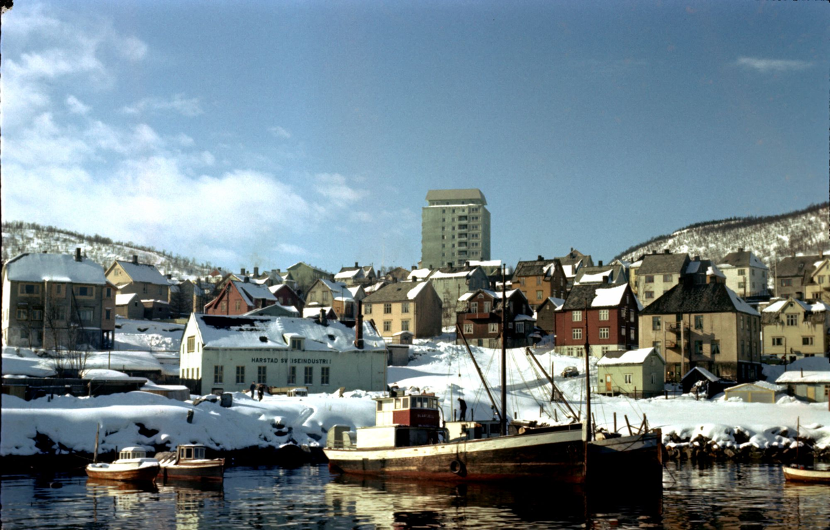 Båter og bebyggelse i Harstadhamn.