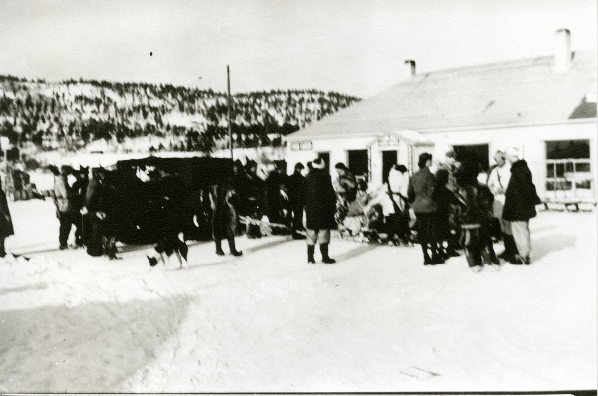 Ulvejakten i 1949, deltagerne med flere samles bak beltebilen ved lensmannskontoret i Karasjok.