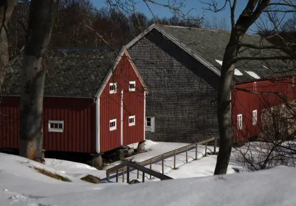 Fjøs, og stabbur på vinteren på Rosvoll Prestegård