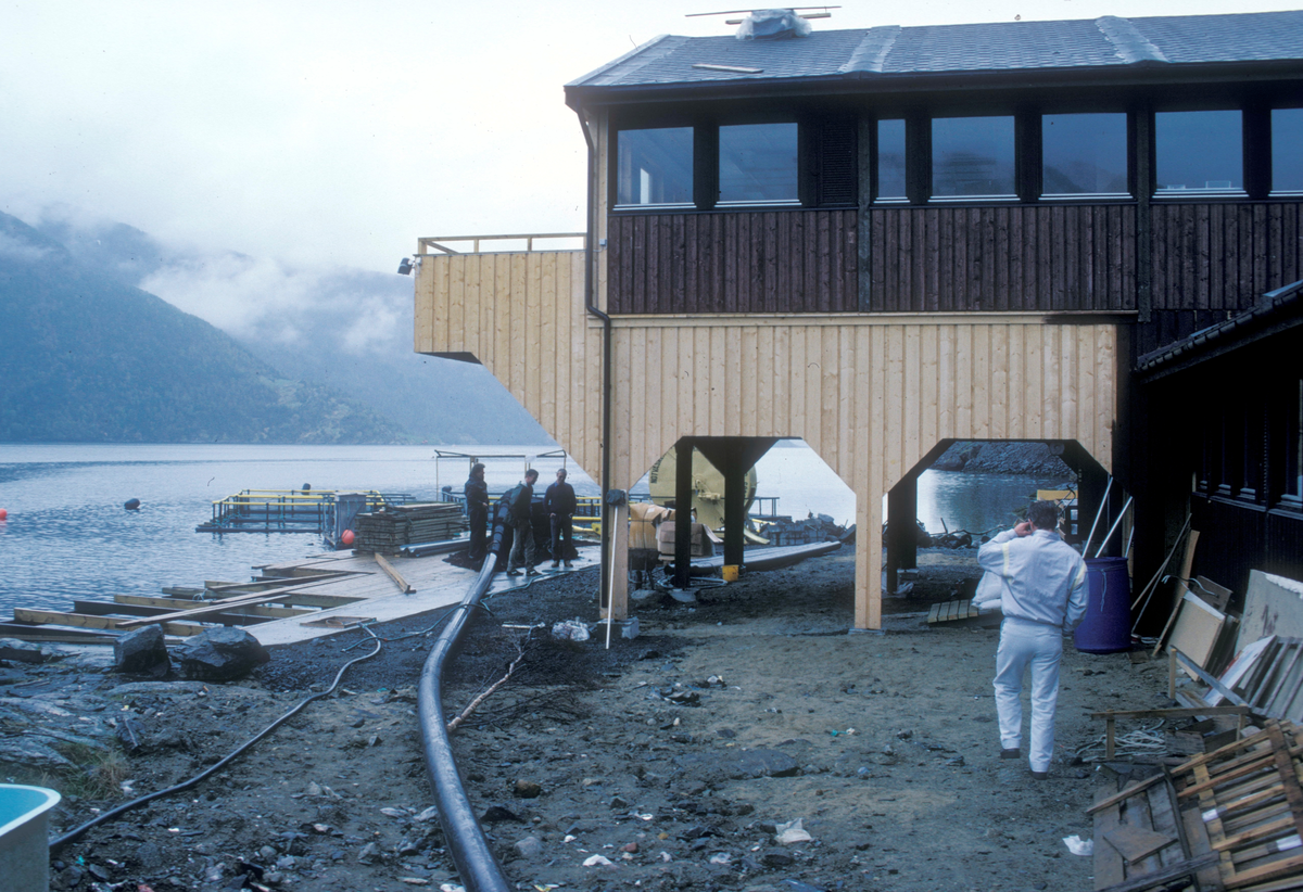 Sogndal 1987 : Nærbilde av bygning på landbase. Selve oppdrettsanlegget sees i bakgrunnen. Gruppe med arbeidere står på kaien.