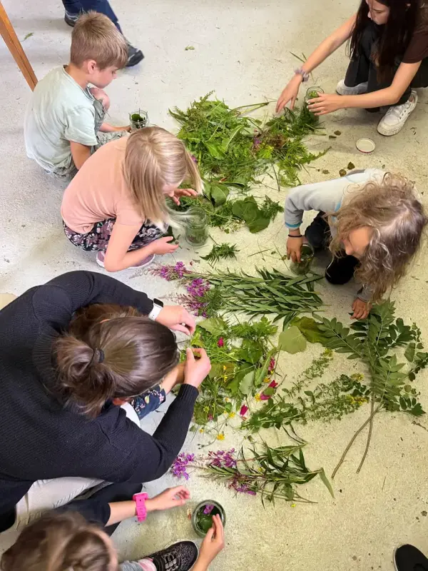 Barn prøver seg på plantefarging med ulike planter og vekster