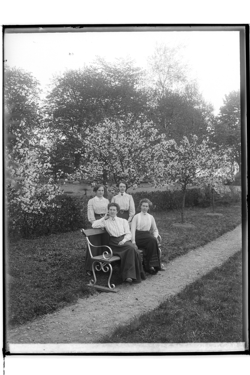 Fyra kvinnor i parken.
Axel Holmberg (Axel Holmberg är troligen beställare av bilden).
Stående till vänster Edvina Kristensson och sittande till vänster hennes syster Klara Kristensson. Båda var brorsdöttrar till Axel Holmberg.