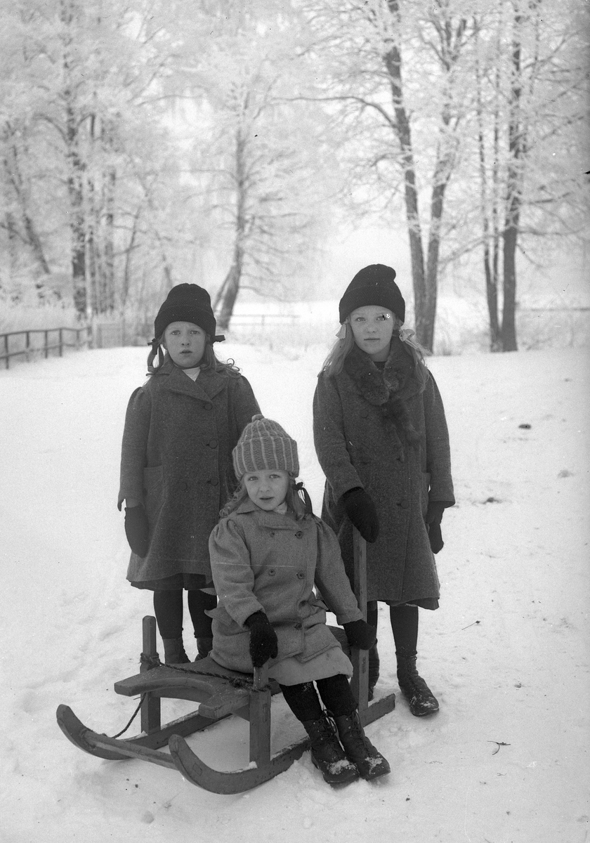 Tre barn med kälke