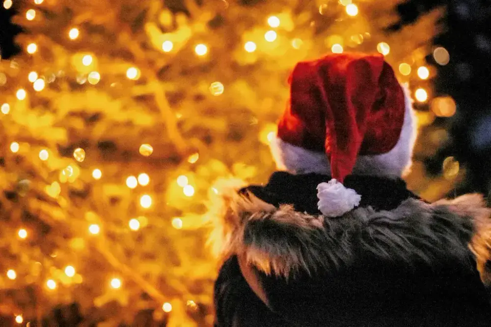 Et barn står foran et glitrende juletre.  Barnet har nisselue på hodet, og står med ryggen til fotografen.