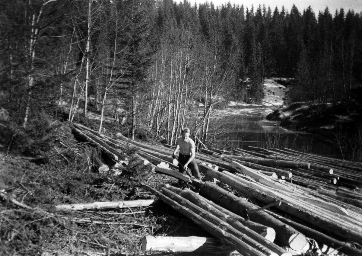 Barking av tømmer ved Leirelva.Bjarne Frogner ivrig m/barkspade