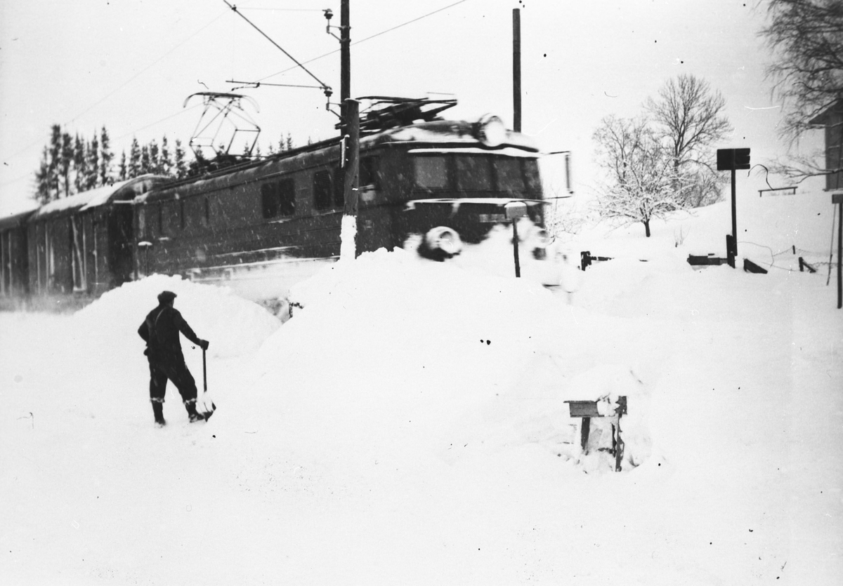 Toget på Bodding passerer planovergang en i 1954.