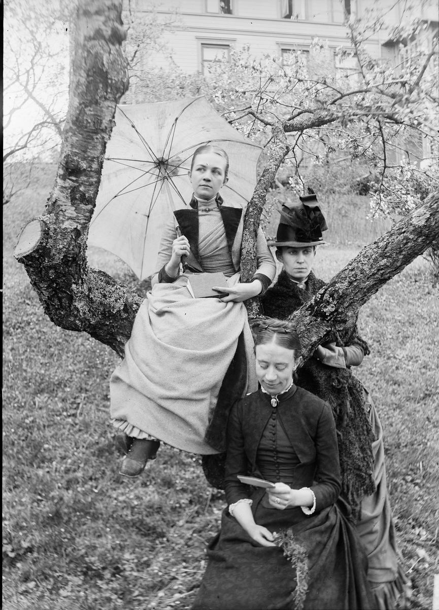 Tre unge damer i et tre på Linderud Gård. Agnes og Anna Mathiesen, og Ruth Wetlesen i forgrunnen.