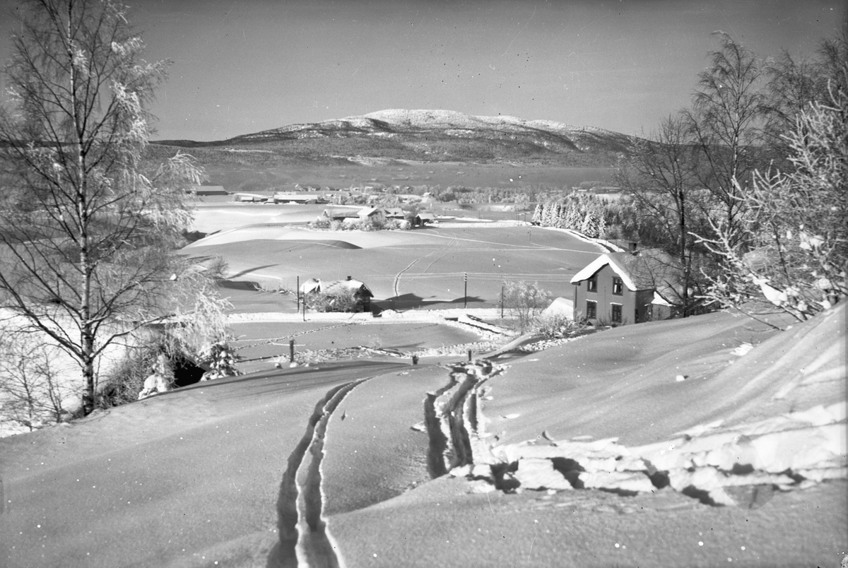 Kultur-/vinterlandskap. Utsikt nedover Isager med gårdene til Sandholt og Røkholt.