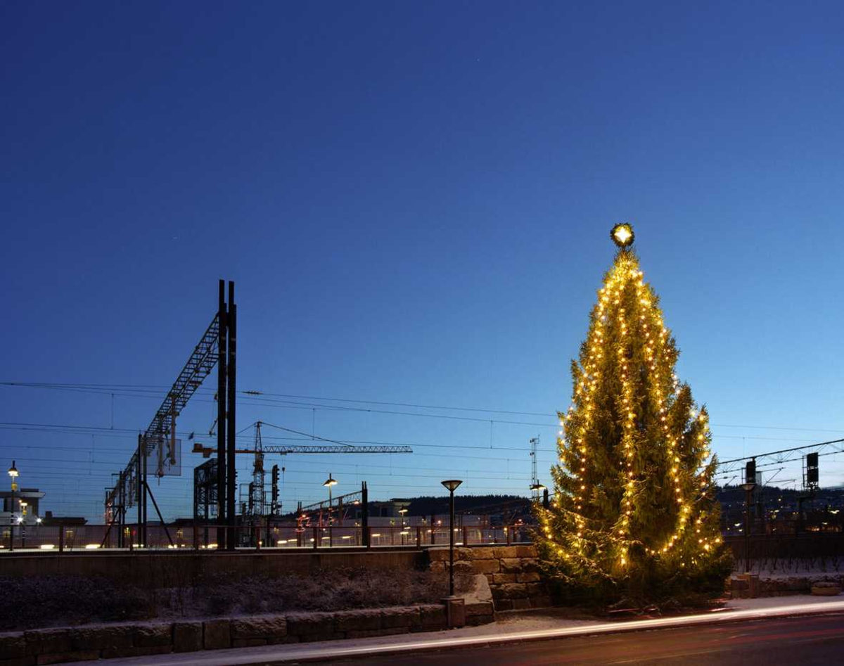 Julebelysning.

Julegata i Lillestrøm. Treet som danner fondmotiv for allèutsmykningen i Storgata. Hvite lys i lenker henger nedover treet.