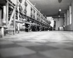 Sætre Kjeksfabrikk,.1949