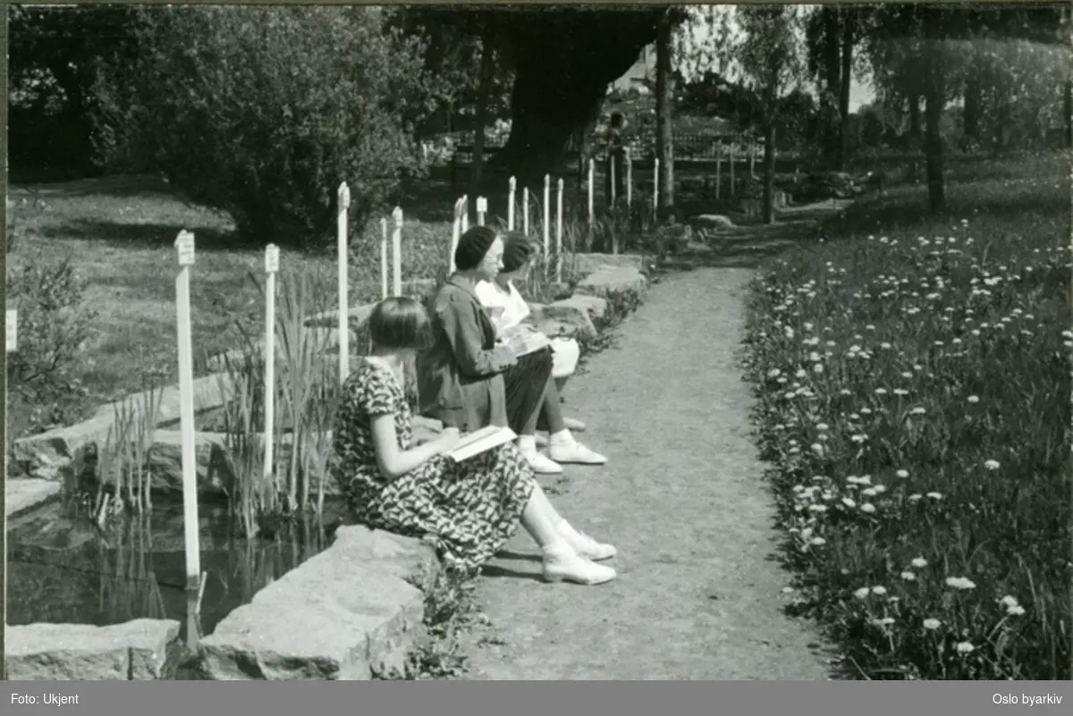 En gruppe elever tegner i parken. (Botanisk hage) (Formingsundervisning). Albumtittel: "Sofienberg skole femti år - første september 1933."