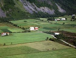 Helt til venstre gamle Nessa husa , så ser en garden til Han