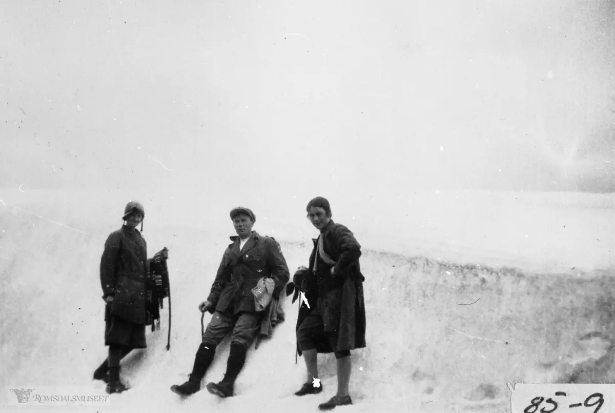 Kanndalen i Eresfjord mai 1928. ..