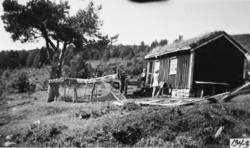 Setermotiv, Kvamsetra på Kleppen. Setra er no reve og Arild 