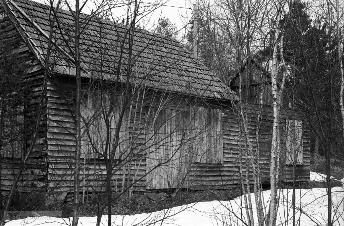 Røvika, Bolsøy. Bildene viser smed Bård Madsens hjem, Borvika, småbruk, verksted, B.M. f.1859-1949. Smie/ verksted er den bygninga hvor bare halve taket står. Selve smia var der taket har rast ned. Våningshuset kjøpte B.M i 1897. Plassen heter Bjerkelunder. Bård Madsens sønn, Sigurd, f.1900 bor i huset np. (1981) Viser til intervju med S.M om faren og hans virksomhet. En av farens motorer står på fiskerimuseet på Hjertøya. Se også nr. 2632A. (http://digitalarkivet.uib.no/cgi-win/webcens.exe?slag=visbase&filnamn=f01544.wc2&gardpostnr=600&personpostnr=3319#nedre)