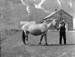 Eikesdal skole til venstre, bnr 5 til høyre.