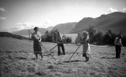 Slåttearbeid i Åramshagen, Ranvika.