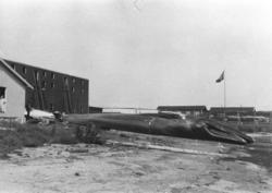 Flensing av kval på Aukra Hvalstasjon