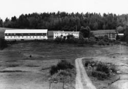 .(Bilder brukt i "Gards- og ættesoge for Nesset").